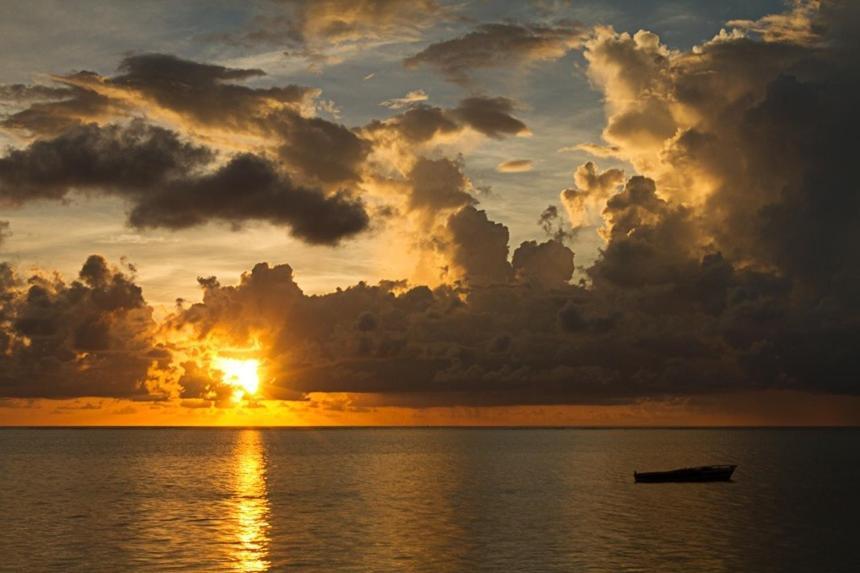 Nest Style Beach Hotel Zanzibar Makunduchi Eksteriør bilde