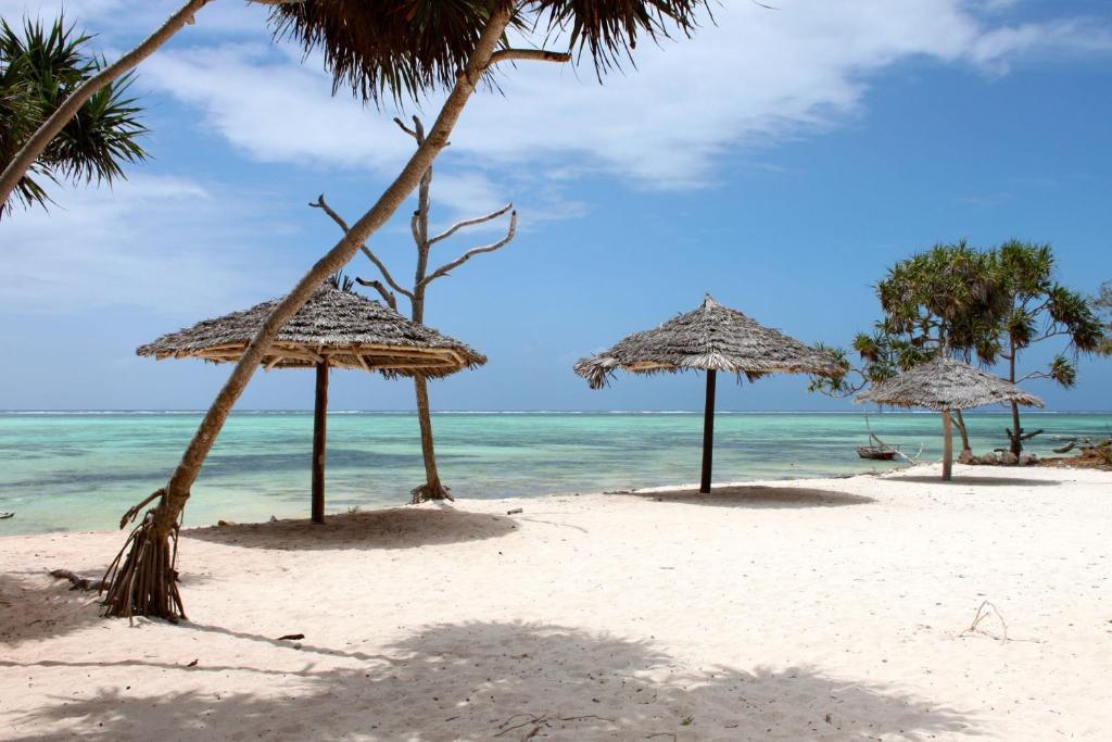 Nest Style Beach Hotel Zanzibar Makunduchi Eksteriør bilde